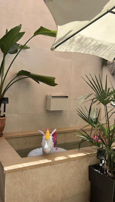 Piso De Lujo Con Patio Y Piscina Privada